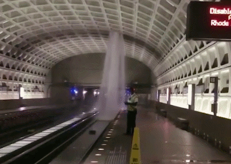 白宮都漏水了，你還能不重視防水！